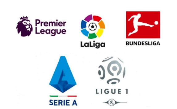 巴西的对阵 巴西的对阵